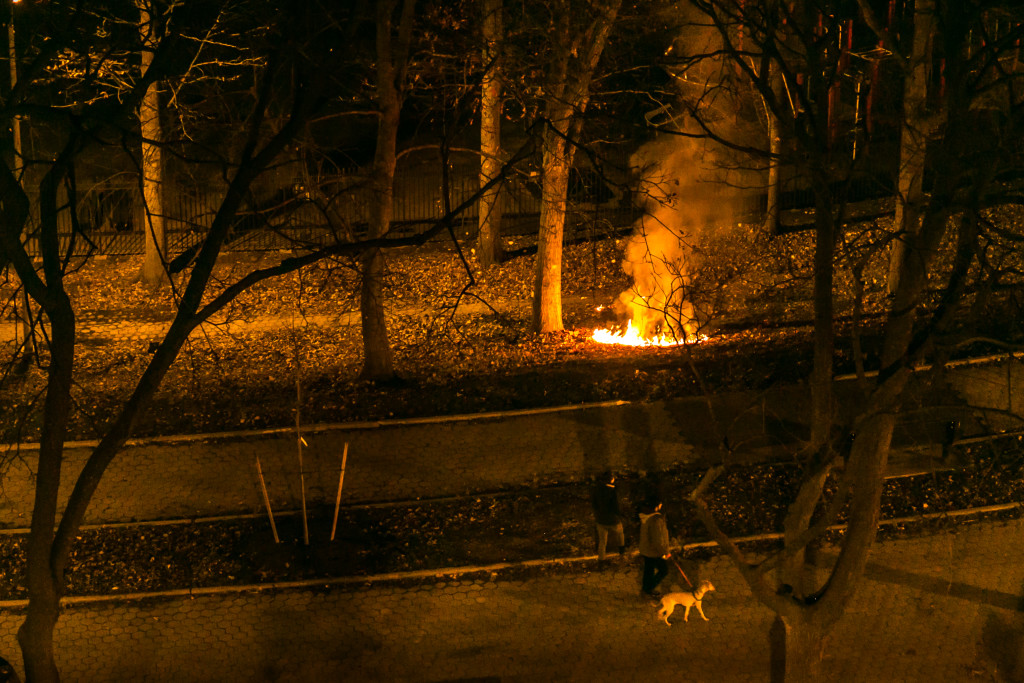  A STRING OF intentional fires plagued Williamsbridge Oval Park in late November-early December, prompting concerns from park-goers and residents. The NYPD and Parks Department officers increased patrols shortly thereafter.  File Photo/Adi Talwar