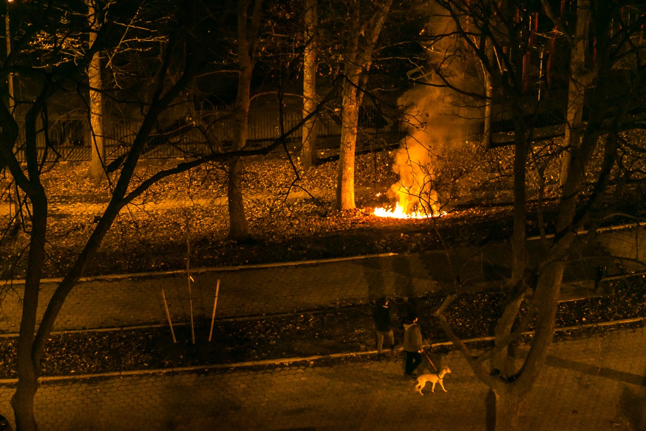 AS OF PRESS TIME, the most recent fire at Williamsbridge Oval Park (pictured), occurred on Dec. 8. FDNY knocked the flames out immediately. Photo by Adi Talwar 