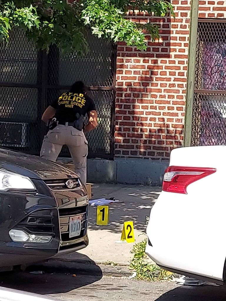 Two Homicides in Six Days in 52nd Precinct: Arrests Made in Both Cases -  Norwood News